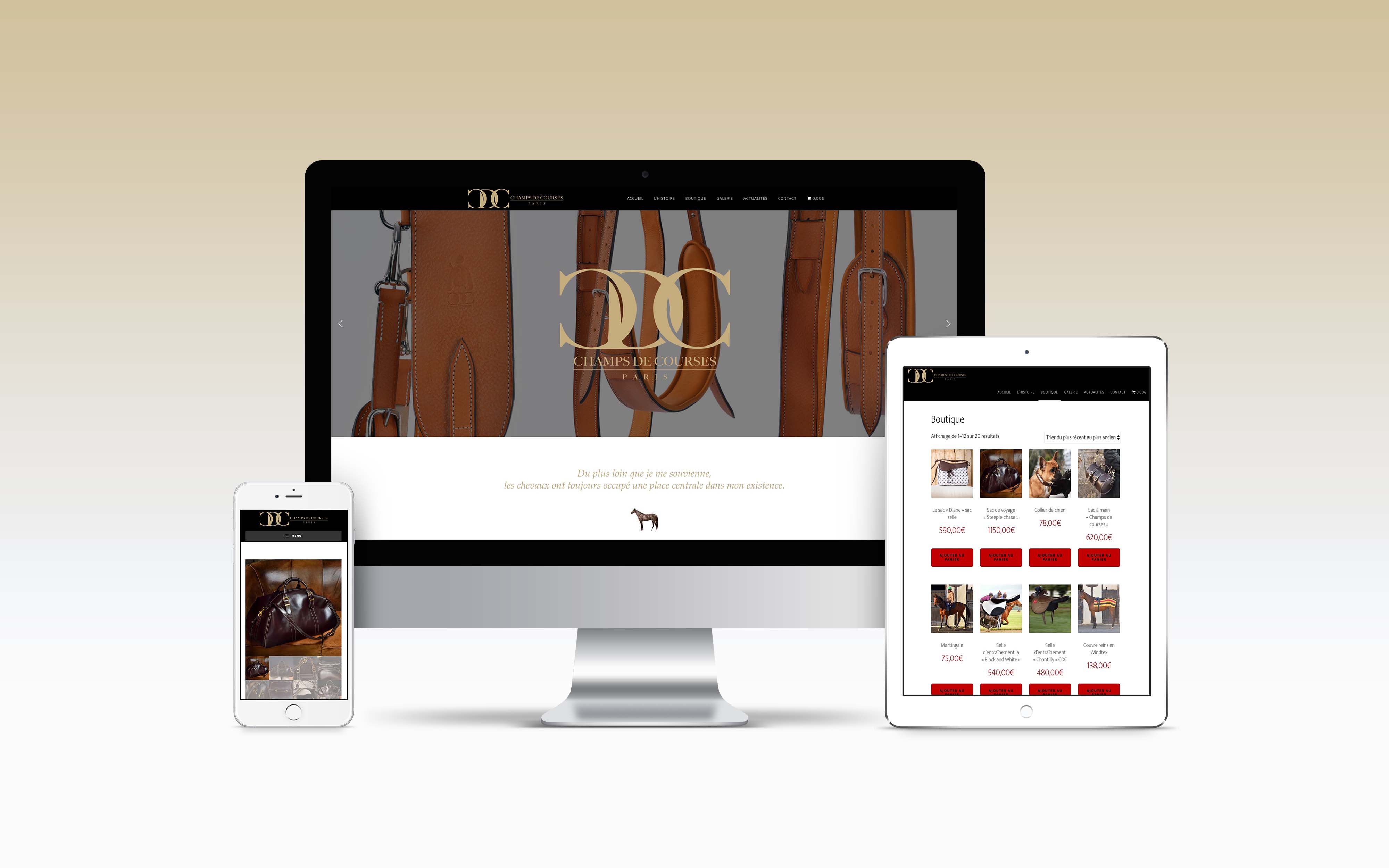 graphisme mise en page web identité graphique direction artistique wordpress