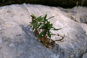 Photo pour le site le Soin de l'être