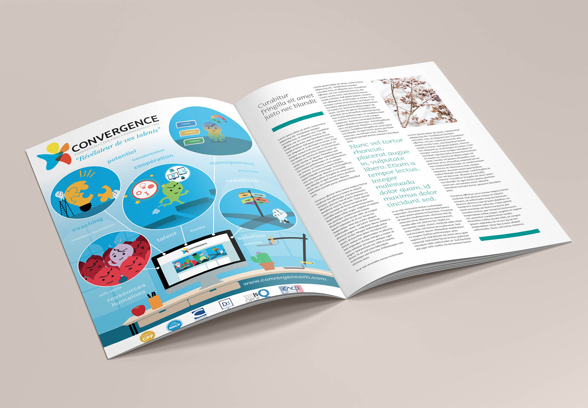 graphisme maquette publicité communication brochure