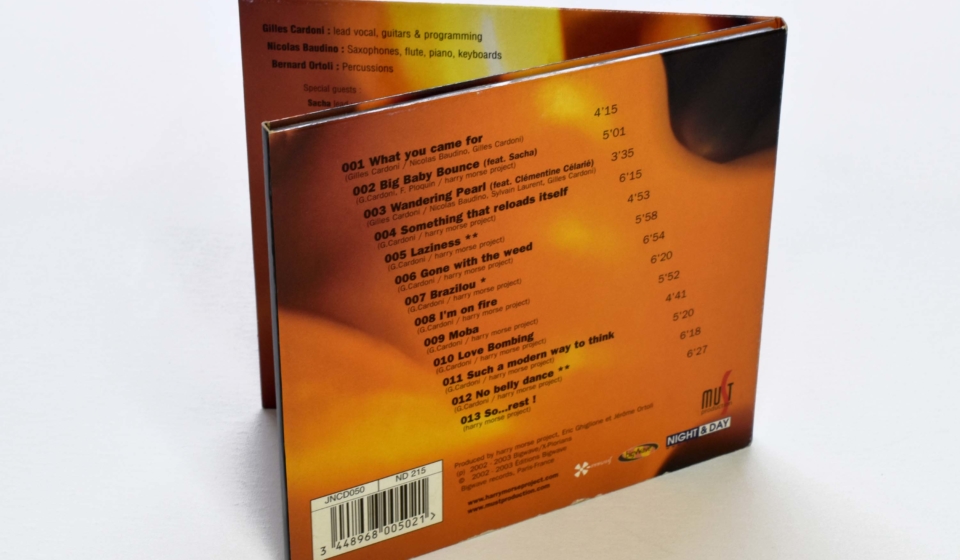 graphisme illustration vectorielle direction artistique pochette cd