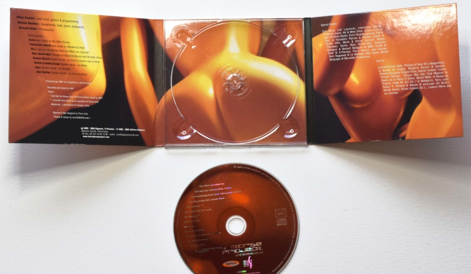 graphisme illustration vectorielle direction artistique pochette cd